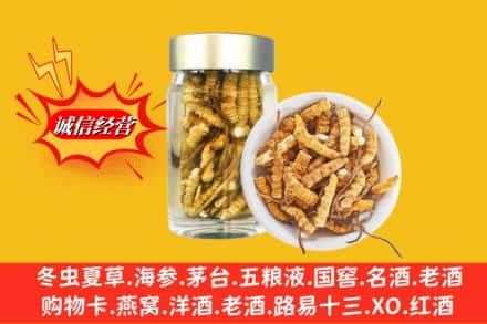 襄阳襄州区名酒回收散虫草.jpg