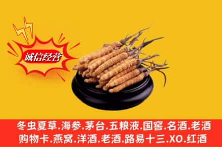 襄阳襄州区名酒回收冬虫夏草.jpg